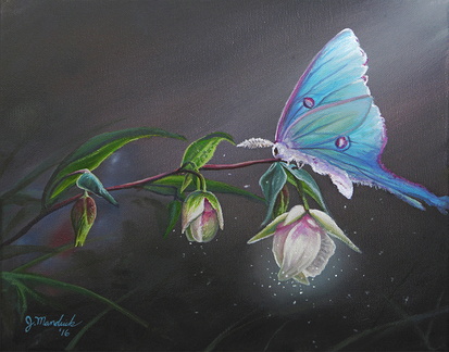 Fairy Lantern's Glow