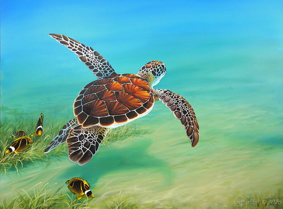 Gliding Through the Sea