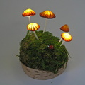 Enchanted Mushrooms on Birch